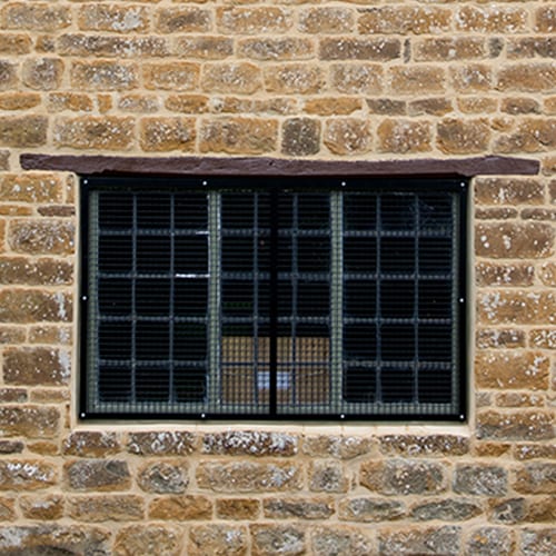Window gallery image